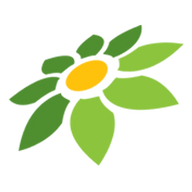 LINK BONUS 100